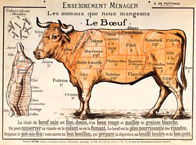 Manzo: diagramma che mostra i diversi tagli di carne da French School